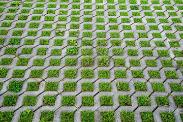Seamless texture of old environmentally friendly concrete paving blocks with green grass growing...