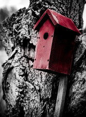Red birdhouse against a black and white tree