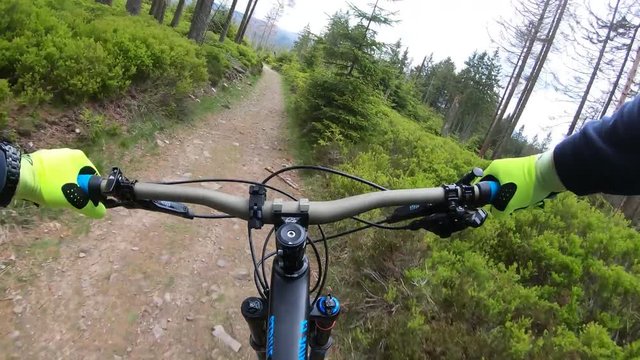 First person view of a mountain biker riding downhill single trails fast on a cloudy day with  a Canyon Strive Enduro bike in the Harz region in Germany, filmed with GoPro Hero 7 in 4K.