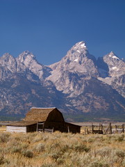 Moulton Barn in Grand Teton National  Park