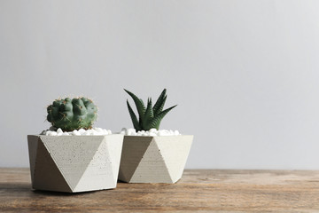 Beautiful succulent plants in stylish flowerpots on table against light background, space for text. Home decor