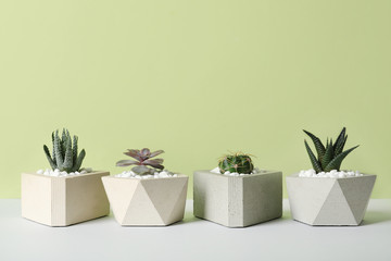 Beautiful succulent plants in stylish flowerpots on table against green background, space for text. Home decor
