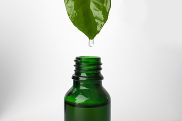 Essential oil dripping from green leaf into bottle against white background