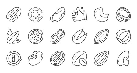 Fototapeta na wymiar Nuts and seeds line icons. Hazelnut, Almond nut and Peanut. Sunflower seeds, Brazil nut, Pistachio icons. Walnut, Coconut and Cashew nuts. Linear set. Quality line set. Vector