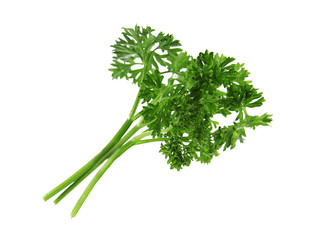 Fresh green organic parsley on white background