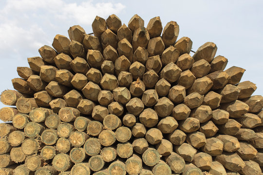 Pile of cut lumber against sky