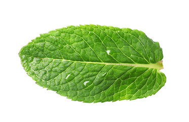 Fototapeta na wymiar Green wet leaf of fresh mint isolated on white