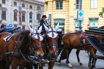 Fototapeta premium VIENNA, AUSTRIA - APRIL 26, 2019: Horse drawn carriages on city road