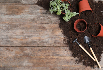 Flat lay composition with soil and gardening tools on wooden background, space for text