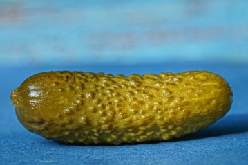 one green sour canned cucumber lies on a blue table