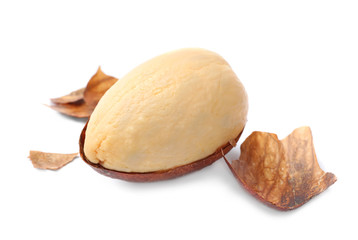 Beautiful avocado stone in shell on white background