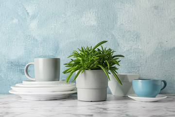 Green plant and different kitchenware on table near color wall. Modern interior design