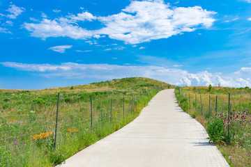 Fototapeta na wymiar Path up a Hill in a Field with Native Plants and a Blue Sky at Northerly Island in Chicago during the Summer