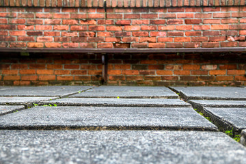 closeup of a brick path in a yard