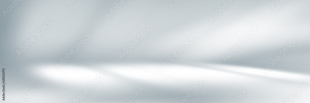 Wall mural soft gray empty perspective floor room studio gradient with backdrop spotlight used for background a