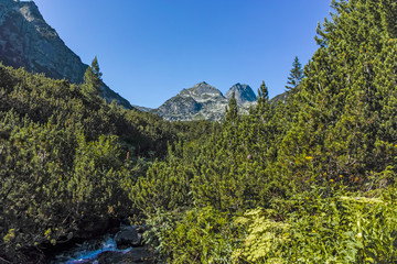 Summer landscape of Malyovitsa peak, Rila Mountain