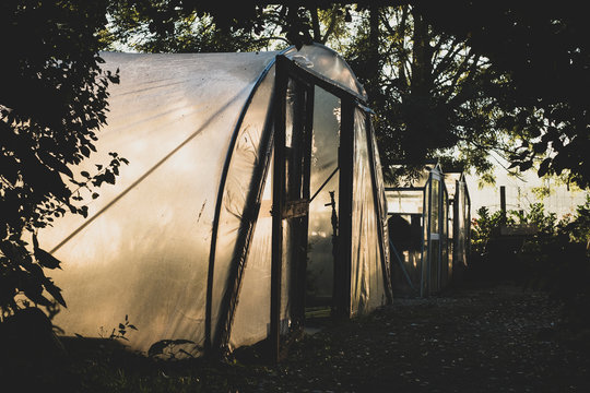 Row of polytunnels in between trees in an orchard