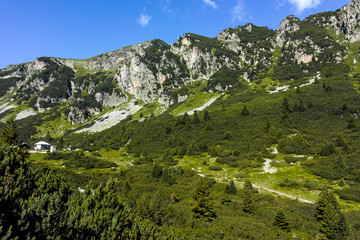 Fototapeta na wymiar Malyoviska river Valley, Rila Mountain, Bulgaria