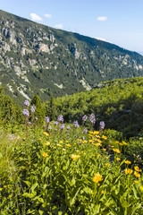 Obraz premium Malyoviska river Valley, Rila Mountain, Bulgaria