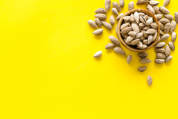 Almond on yellow background top view space for text