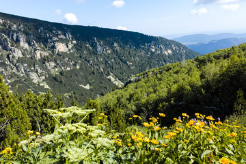 Malyoviska river Valley, Rila Mountain, Bulgaria