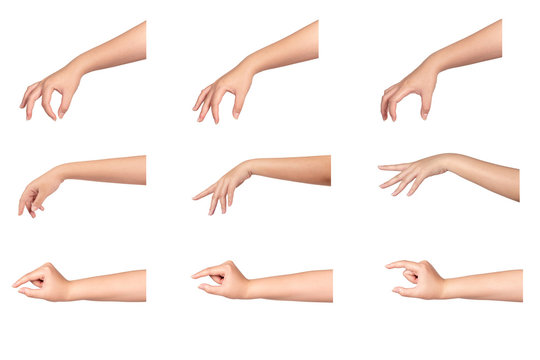 Set of female hands isolated on white background