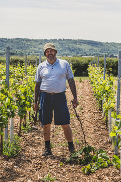 Portrait of smiling man with mattock standing in vineyard