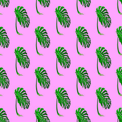Seamless  pattern. Palm leaf. Use for t-shirt, greeting cards, wrapping paper, posters, fabric print.