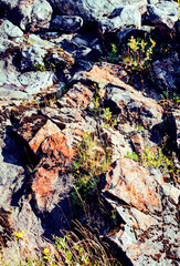 wild north nature landscape. lot of rocks on lake shore post card view