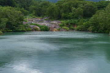 Oirase mountain stream in summer