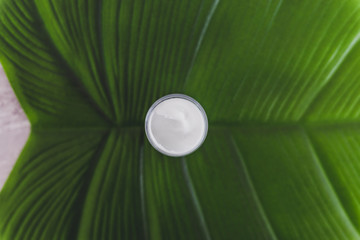 pot of organic moisturizing lotion on top of tropical-looking leaf