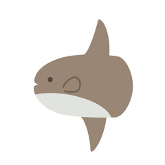 マンボウ