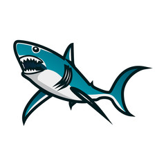 Shark vector illustration. Shark minimalist vector design with white background