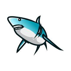 Shark vector illustration. Shark minimalist vector design with white background