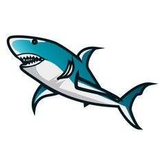 Shark vector illustration. Shark minimalist vector design with white background