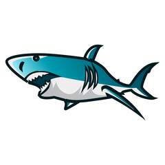 Shark vector illustration. Shark minimalist vector design with white background