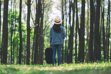 An asian female traveler with a hat and backpack standing back and looking into a beautiful pine woods