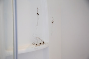 Hair balls in the shower. Hair falling out after pregnancy and breastfeeding. Best way to keep it from blocking the drain is to ball it up and stick it to the wall while in the shower and then discard