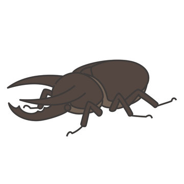 オオカブト Images Browse 55 Stock Photos Vectors And Video Adobe Stock