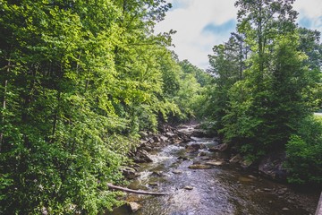 Obraz premium river framed by trees in west virginia