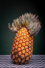 Close up of an upright standing slightly shifted pineapple with an extraordinary top that looks like a Mexican sombrero or Napoleon hat on a patterned surface against a dark green background