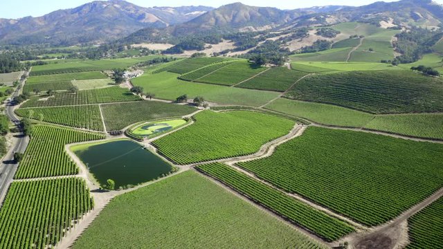 Drone flyover of Vineyards, Kenwood, Sonoma Valley, CA