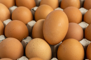 Chicken eggs are fresh in a cardboard package made of recycled waste paper.