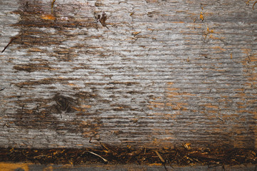 Old wooden background. wood texture