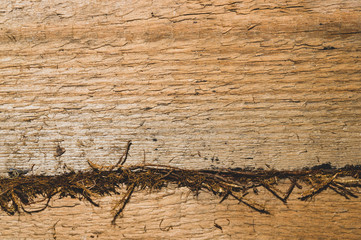 Old wooden background. wood texture