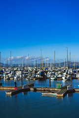 Boats docked in San Francisco