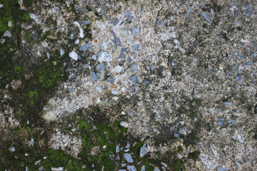 background texture: the surface of old concrete slab covered with moss or algae