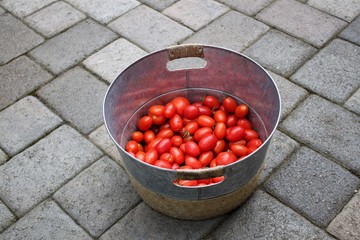 strawberries in a bowl