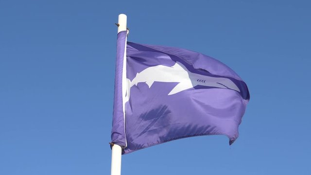 Flag warning people that a shark has been spotted in the water near a beach. CAPE COD, Massachusetts, United States of America