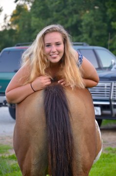 "Horse Ass" Images – Browse 13 Stock Photos, Vectors, and Video | Adobe